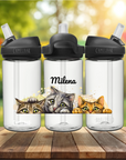 Ausmalbox Katzen - Geschenkbox befüllt