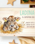 Erinnerungskiste Brown Swiss