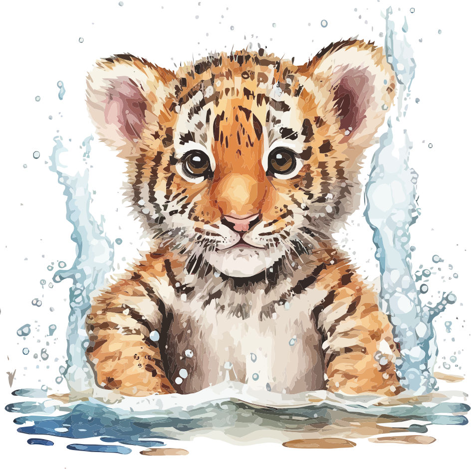 Safari