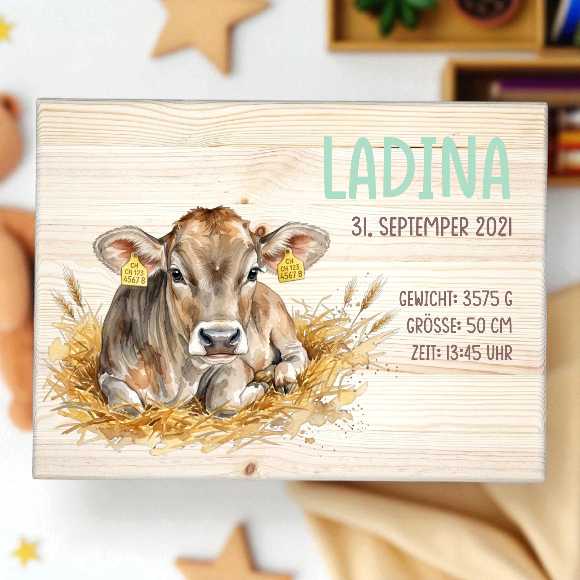 Erinnerungskiste Brown Swiss