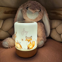 Nachtlichter