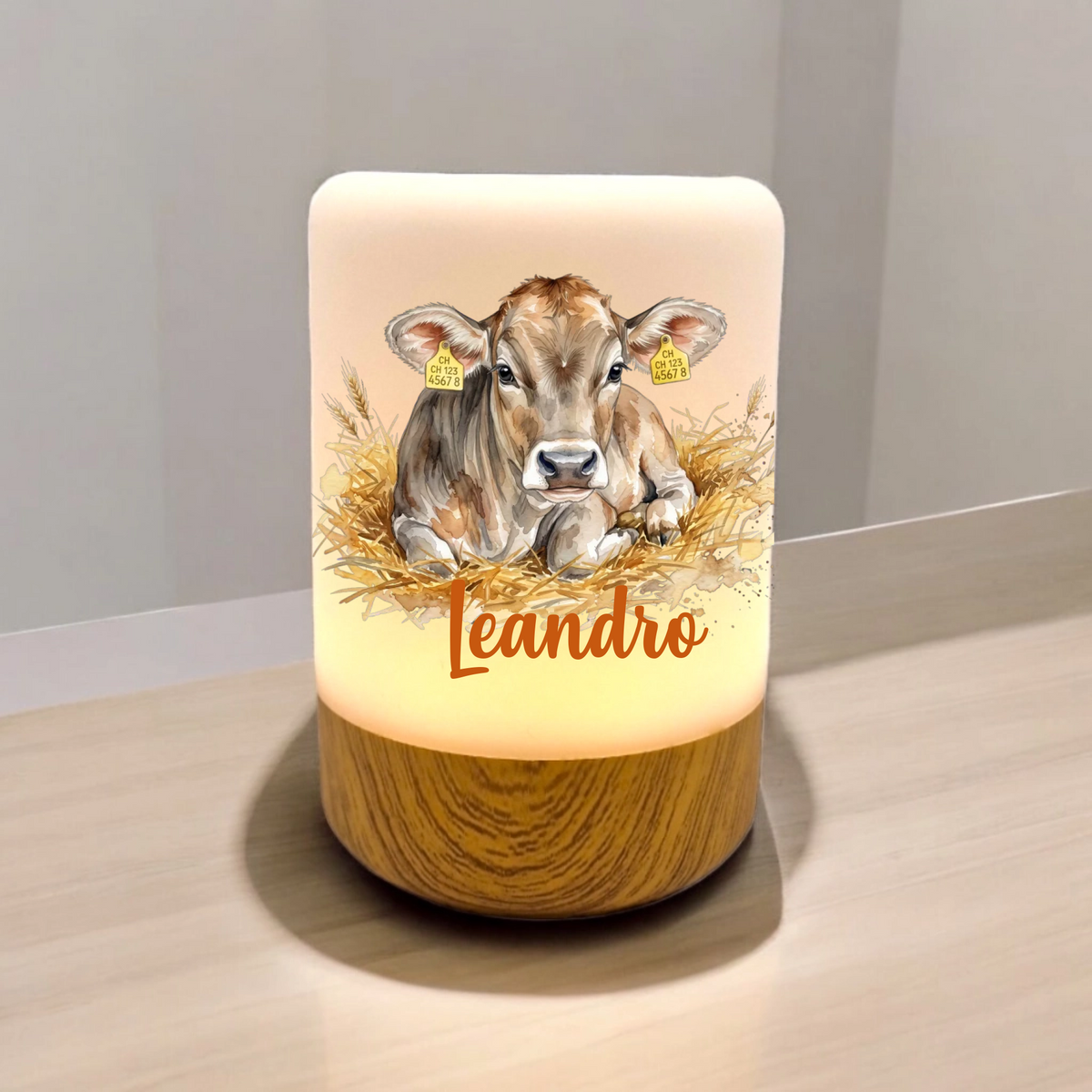 LEDTouch Nachtlicht Brown Swiss