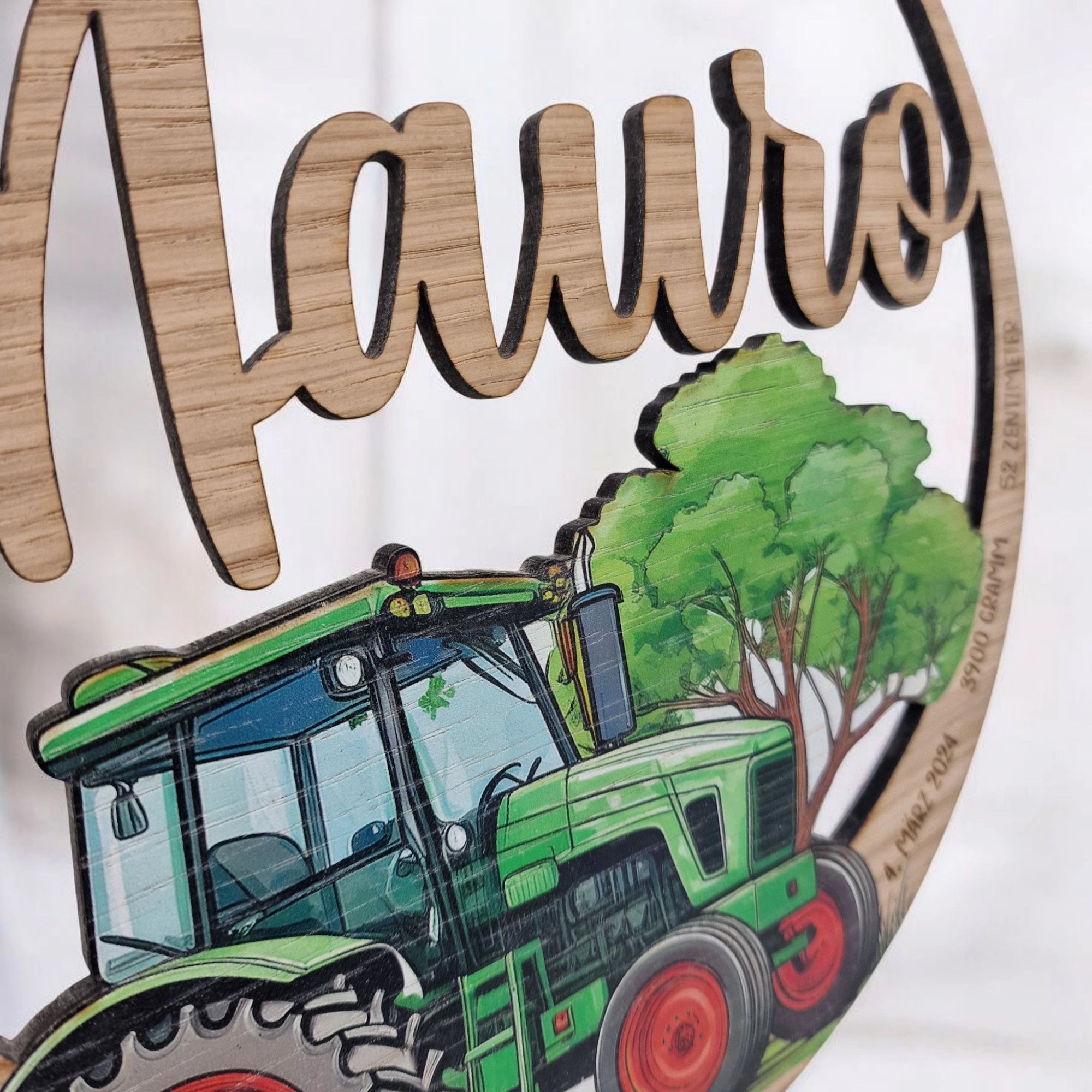 Namensschild Traktor grün mit Namen